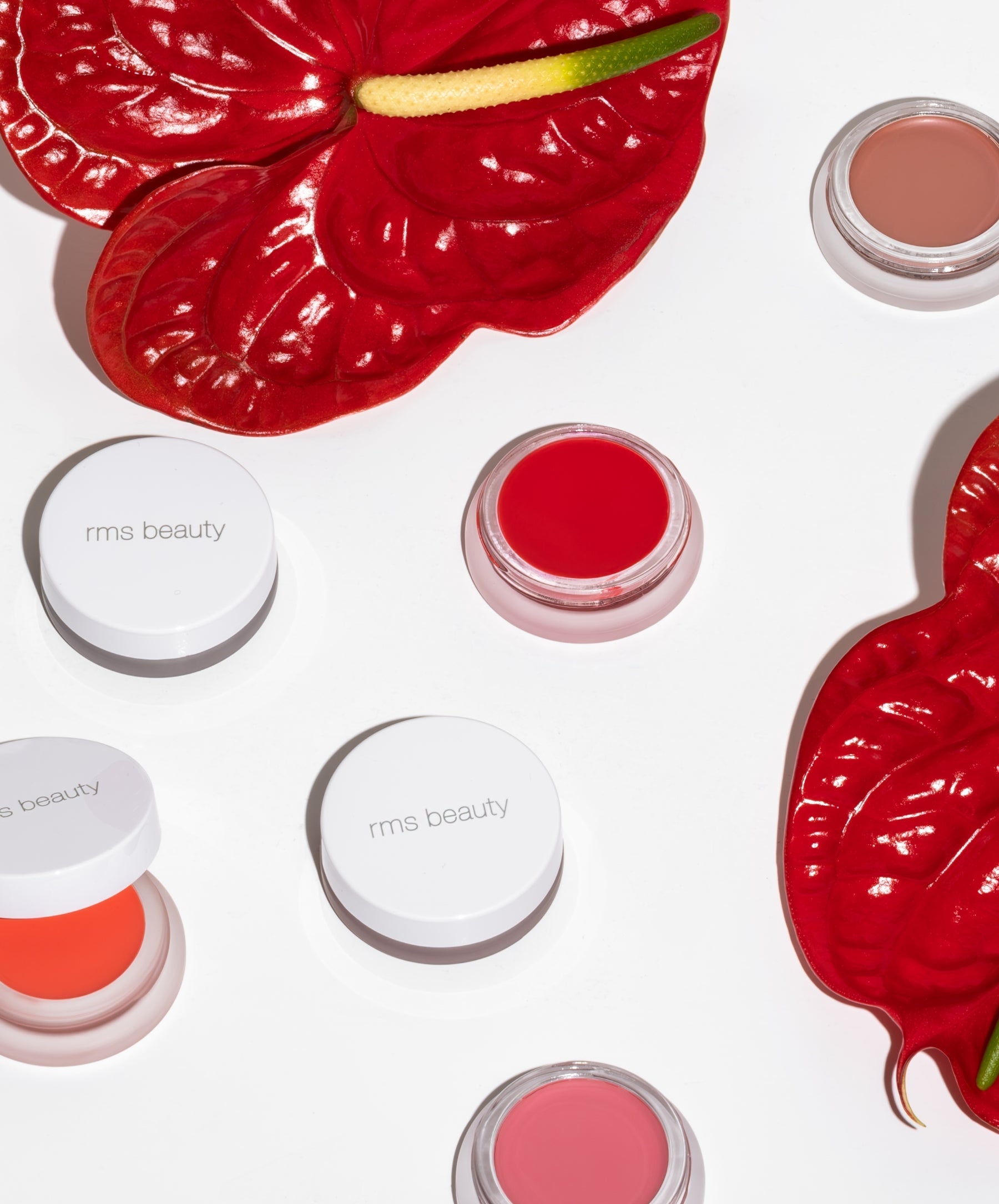 Lip2Cheek